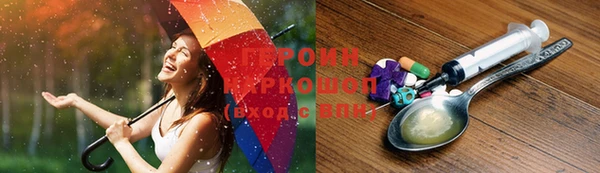 хмурый Пересвет