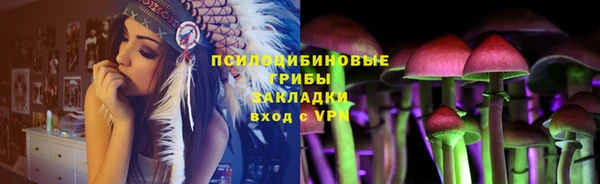 ГАЛЛЮЦИНОГЕННЫЕ ГРИБЫ Абдулино