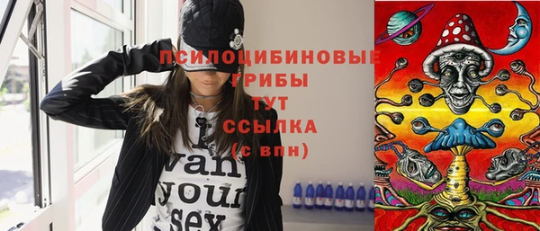ГАЛЛЮЦИНОГЕННЫЕ ГРИБЫ Абдулино