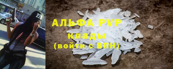 хмурый Пересвет