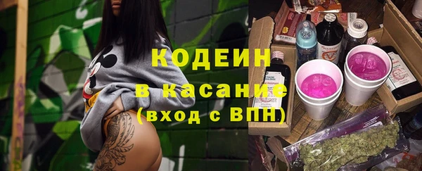 хмурый Пересвет