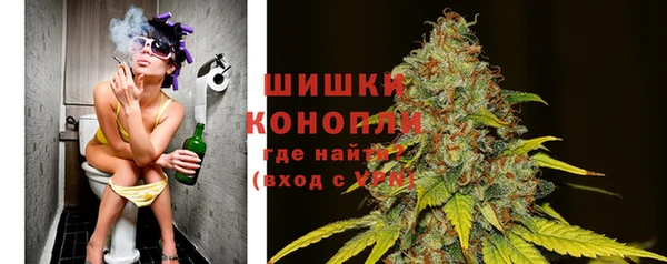 ГАЛЛЮЦИНОГЕННЫЕ ГРИБЫ Абдулино