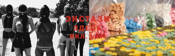 хмурый Пересвет