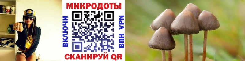 omg зеркало  Никольск  Галлюциногенные грибы GOLDEN TEACHER 